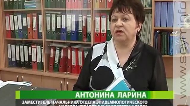 Смешные Собачки