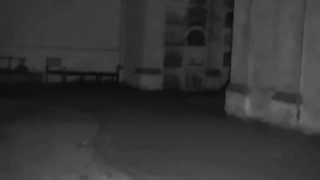ТОП 5 САМЫХ СТРАННЫХ ПАРАНОРМАЛЬНЫХ ВИДЕО #4 смотреть онлайн