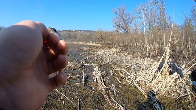 Большие амбиции перед запретом | Рыбалка на Северском Донце | с. Большой Суходол 31 марта 2019 смотреть онлайн