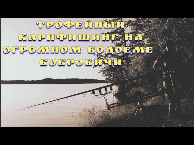 Трофейный карпфишинг на огромном водоёме Бобровичи, Беларусь.