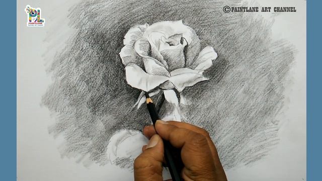 How to draw Rose with Charcoal pencil sketch and shading || PAINTLANE ART VIDEOS смотреть онлайн