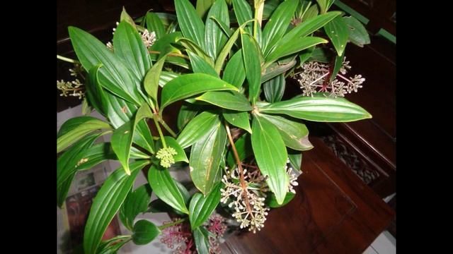 Sony W830 : Low Light Camera Test Sample Pics смотреть онлайн