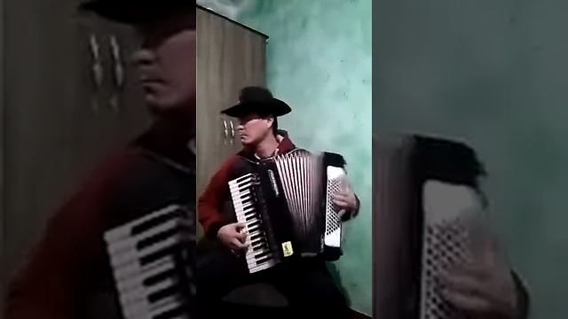Виртуоз! Сейитов Улан на аккордеоне! Кыргызстан Джалал-Абад Продолжение! смотреть онлайн