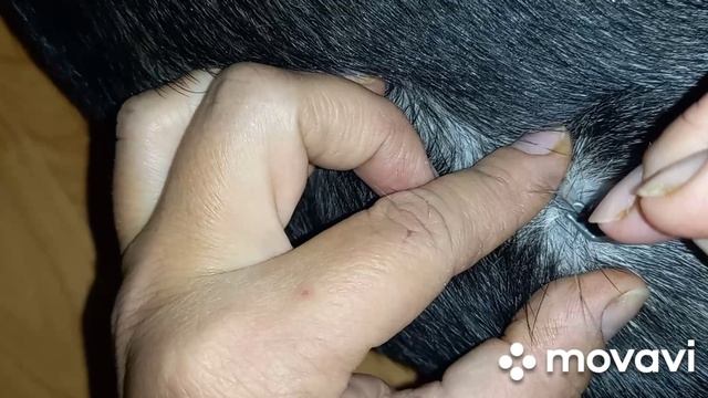 О полезном, вкусном, интересном