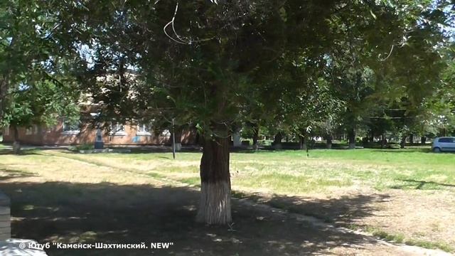 ЗАБРОШЕННЫЙ СТАДИОН. "ПРОГРЕСС". Каменск-Шахтинский. Разруха. Июнь 2021. ВИДЕО: Арон Моисеевич. смотреть онлайн