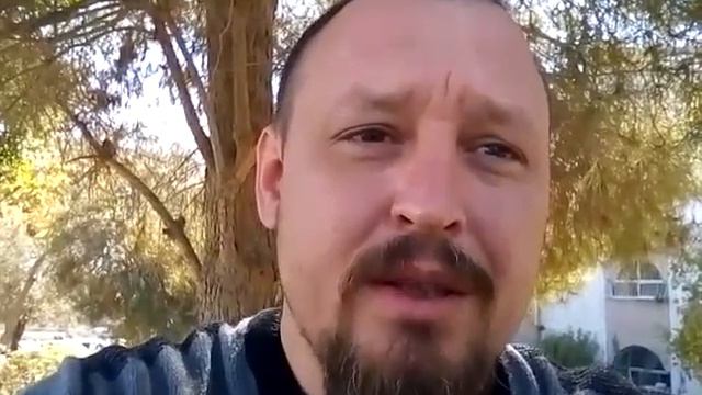 Натан Арбатский. Решение проблем русскоязычных в Израиле. смотреть онлайн