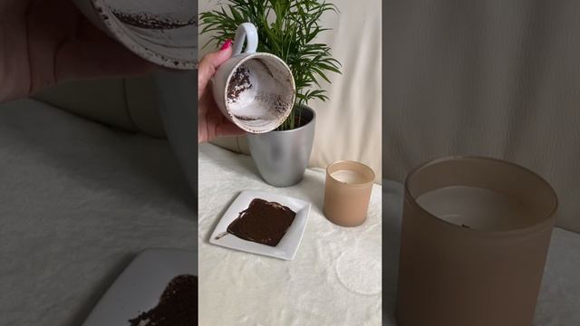 Кошка ?⬛ Погадаем на кофейной гуще смотреть онлайн
