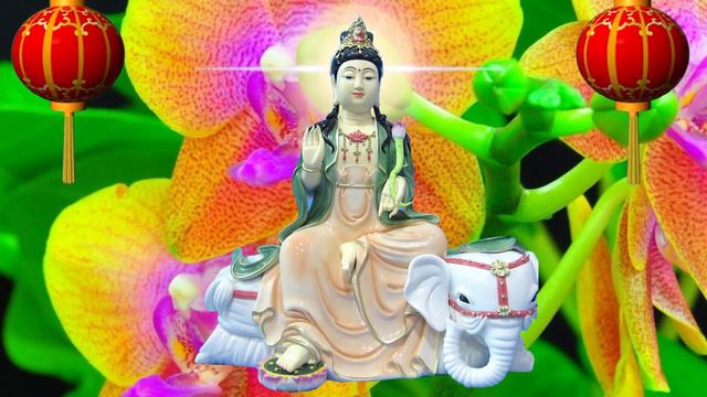 Background Video Full HD phật giáo phổ hiền hạnh nguyện bồ tát 3 смотреть онлайн