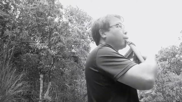 "White Arrow" - Amateur panpipe playing смотреть онлайн