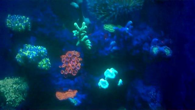 WP 20151206 21 37 22 Pro смотреть онлайн