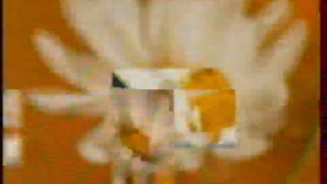 Начальная рекламная заставка РТР "Цветок" (1999-2000) смотреть онлайн