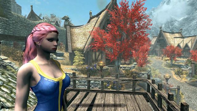 SKYRIM SPECIAL EDITION MODS PURESKINTEXTURE 8K смотреть онлайн