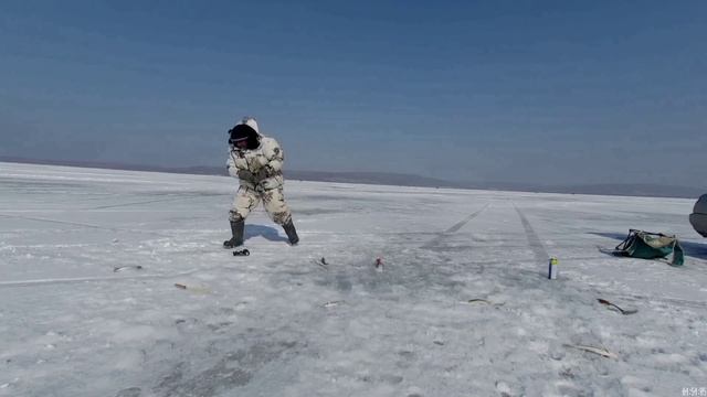 Зимняя рыбалка 2022.ловля зубаря.ловля наваги. Рыбалка на комбайны. смотреть онлайн