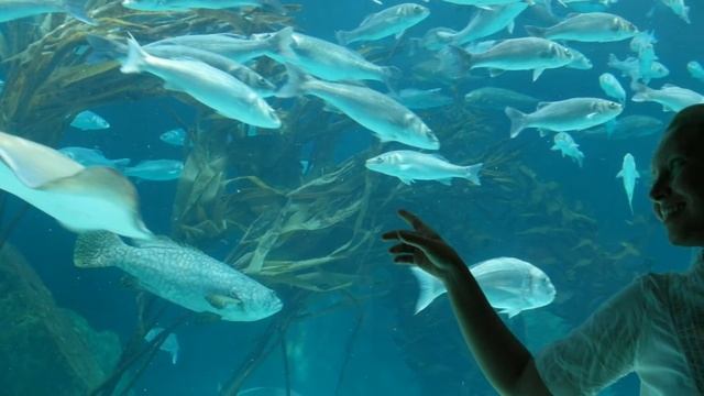 Omega - Gyöngyhajú Lány