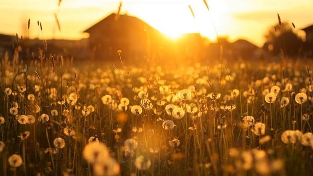 Пряничный домик смотреть онлайн