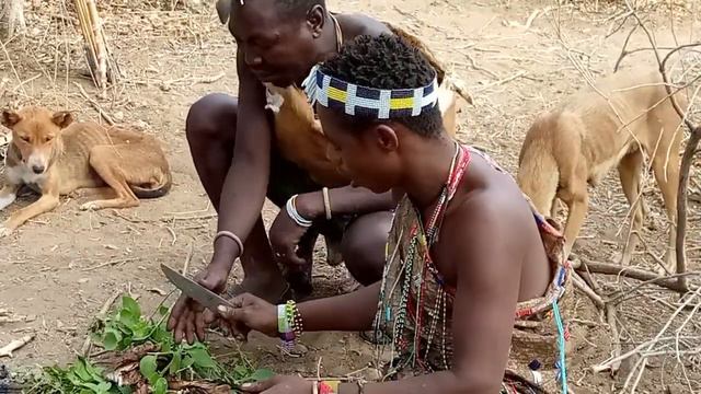 Forest boy hunting and eating organic food смотреть онлайн