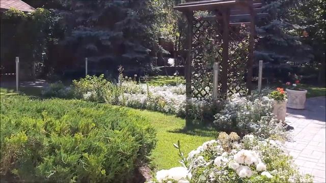 Когда нет предела совершенству! Изгородь из гортензии метельчатой. смотреть онлайн