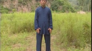 Цигун "U CIN SI - Игры Пяти Животных"