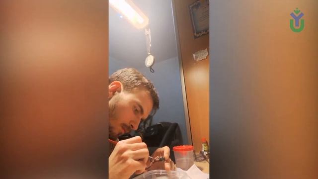 Дистанционим в ЮГУ смотреть онлайн