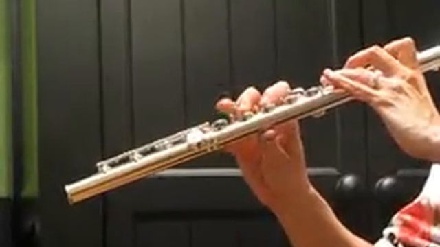 Muramatsu DN Used Flute - Response Demo - Consignment Flutes смотреть онлайн