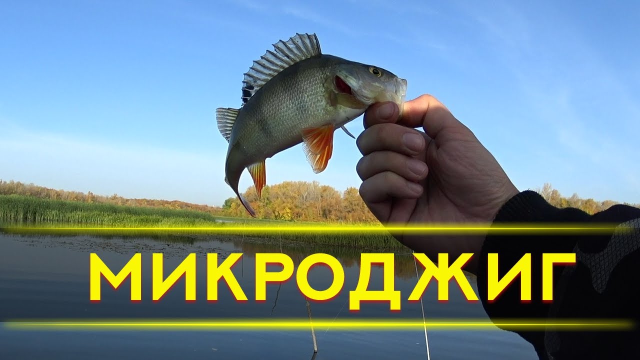 Осенний жор окуня на Ультралайт - микроджиг