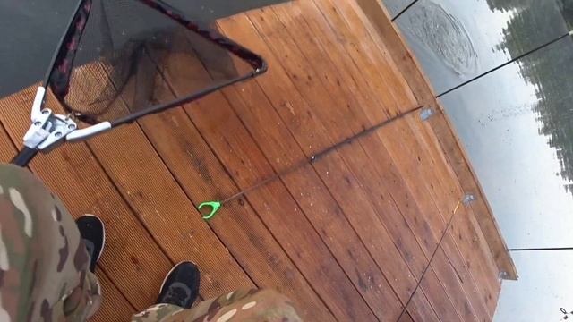 #Карп#Фидер#отдых Карп в Жару клюет как из пулемета.Платник Подмосковья. Где отдохнуть с семьёй? смотреть онлайн