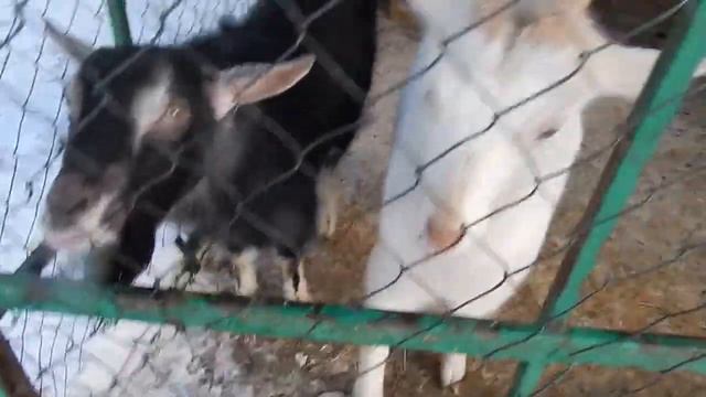 DSCN4694           14 02 2017 Г      КАФЕ  ....