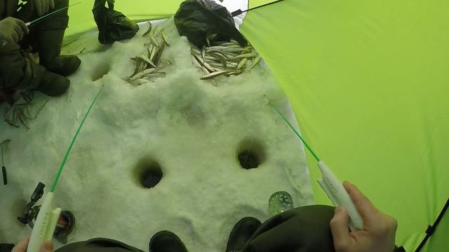 КАМЧАТКА 2019 Рыбалка на Корюшку#Мормышка в деле#Рыбный жор#Вот это клев#Подледный лов смотреть онлайн