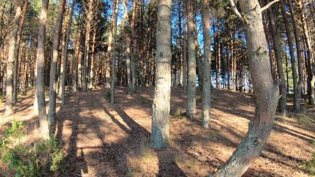 Селигер 2020 (часть 1). Дорога и окрестности смотреть онлайн