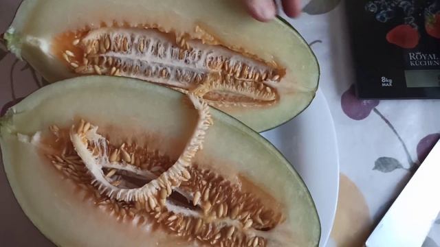 зимняя супер дыня РЕЙМЕЛЬ! . сажаем обязательно. хранится в комнате на полу до нового года! смотреть онлайн