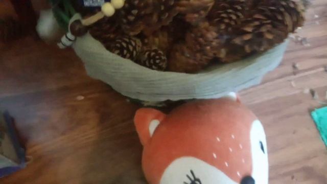 Варварим! Белка в доме) смотреть онлайн