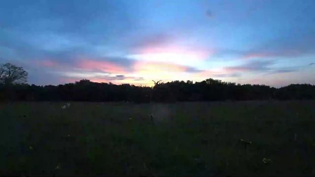 Крепкий сон под звуки леса. Звуки леса. Цикады. Для сна. смотреть онлайн