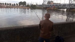 Обзор китайской сетки с кормушкой ч.1