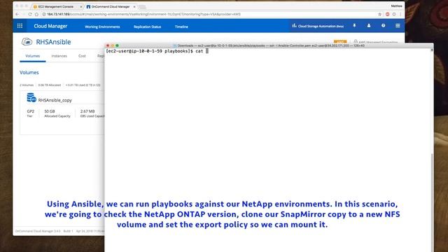 Ansible Demo with NetApp ONTAP Cloud смотреть онлайн