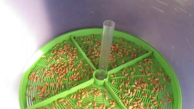 Проращиватель Добросад. Начало. смотреть онлайн