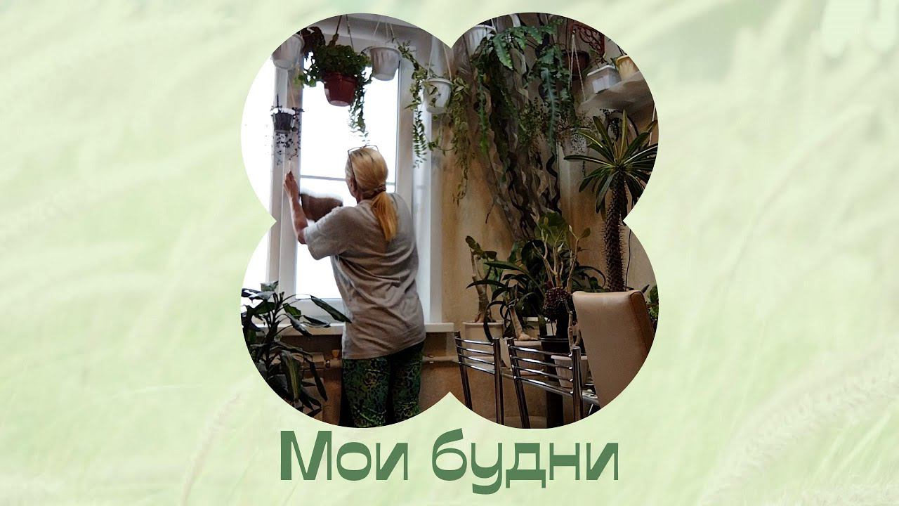 Запущенная цветочная квартира. Обзор цветочных комнат. смотреть онлайн