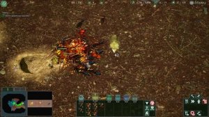 САМАЯ СИЛЬНАЯ АРМИЯ МУРАВЬЕВ!