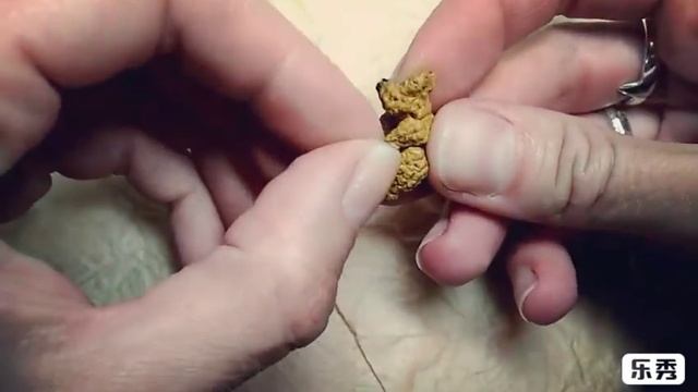 Миниатюрный медведь связанный крючком - Miniature Bear crochet toy (amigurumi) смотреть онлайн