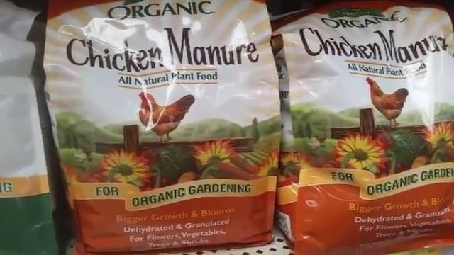 CША ЧТО ЖИВЕТ В АМЕРИКАНСКОЙ ЗЕМЛЕ-УЖАСНЫЕ СУЩЕСТВА GRUBS / смотреть онлайн