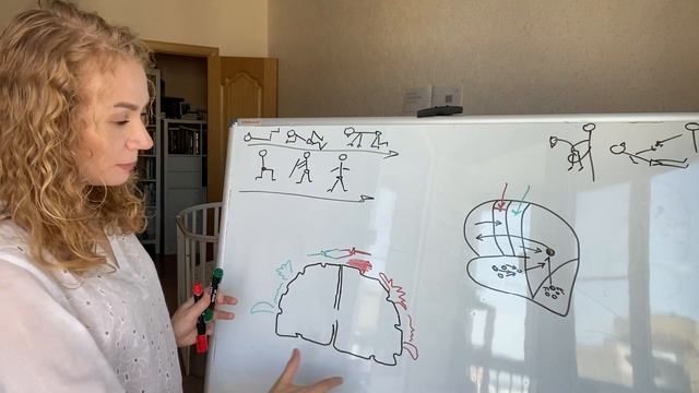 Упражнения на отдельные группы мышц: вредно или полезно? смотреть онлайн