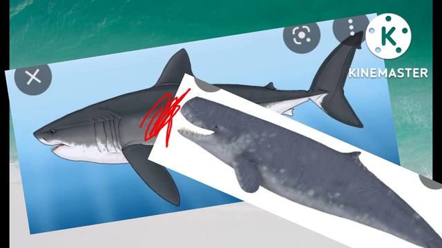 battle royale megalodon vs livyatan #1 смотреть онлайн