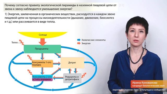 2. Популяции и сообщества | Экология | БИОЛОГИЯ ЕГЭ смотреть онлайн