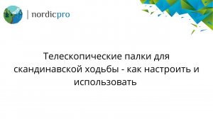 Телескопические палки для скандинавской ходьбы как настроить и использовать