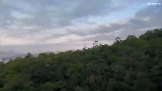 Время перемен настало люди по всему миру чувствуют новые вибрации! смотреть онлайн