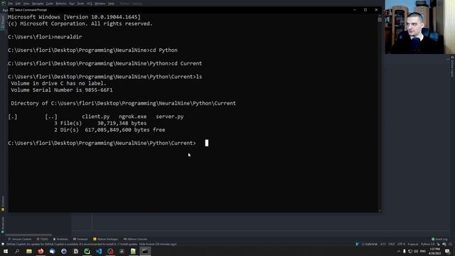 Connect Python Scripts To Internet With Ngrok смотреть онлайн