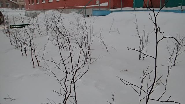 Норильск. Ленинский пр-т. Размышление о высадки деревьев, что тут никогда не росли. 2023.03.12. смотреть онлайн