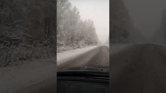 Амурская область пришла зима смотреть онлайн
