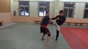 Захват ноги   бросок   болевой  3 рабочих варианта