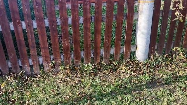 Парковка на даче для Chery Tiggo 8 PRO не своими руками. Не дешево. смотреть онлайн