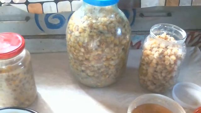 Три вида наживки из кукурузы дипую жидкостью. смотреть онлайн